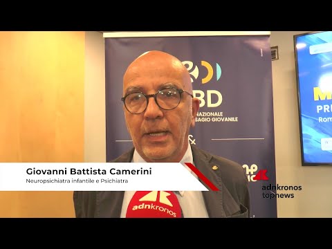 Bullismo: neuropsichiatra Camerini, ‘non reprimere, prevenire con empatia’ 2 Bullismo: neuropsichiatra Camerini, ‘non reprimere, prevenire con empatia’