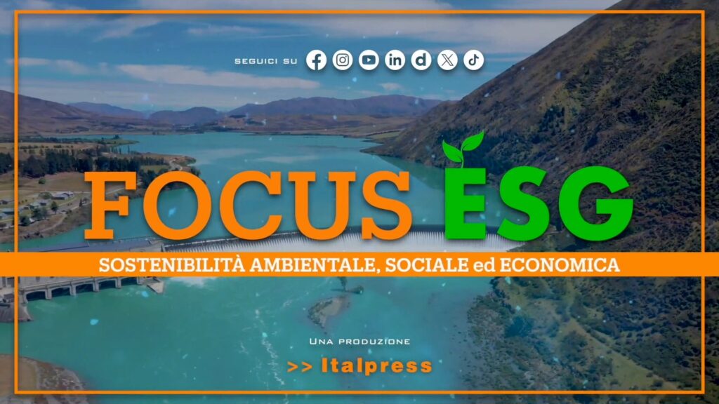 8vzL