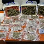 Carabinieri-Nuoro-sequestro-di-droga-a-Tonara
