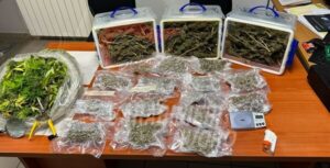 Carabinieri-Nuoro-sequestro-di-droga-a-Tonara