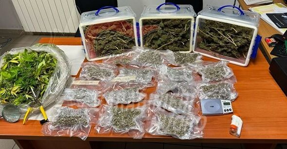 Carabinieri-Nuoro-sequestro-di-droga-a-Tonara