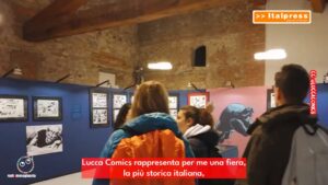 vBMg
